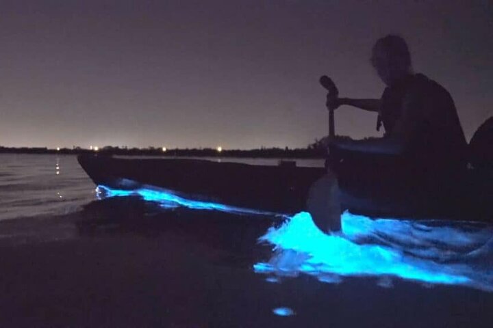 Bioluminescence Tour in Kayak in Holbox Island