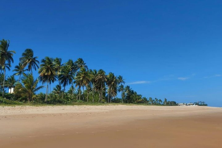 Private Tour to Praia do Forte and Praia de Guarajuba from Salvador