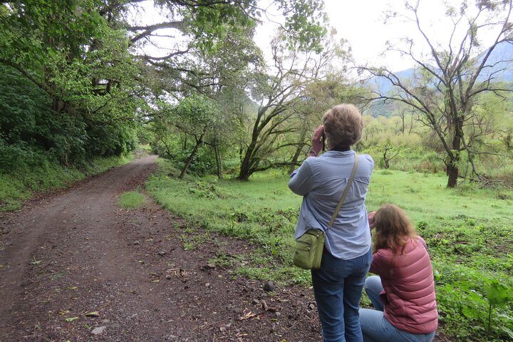 Colima Volcano Birdwatching Tour