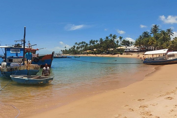 Private Tour to Praia do Forte and Praia de Guarajuba from Salvador