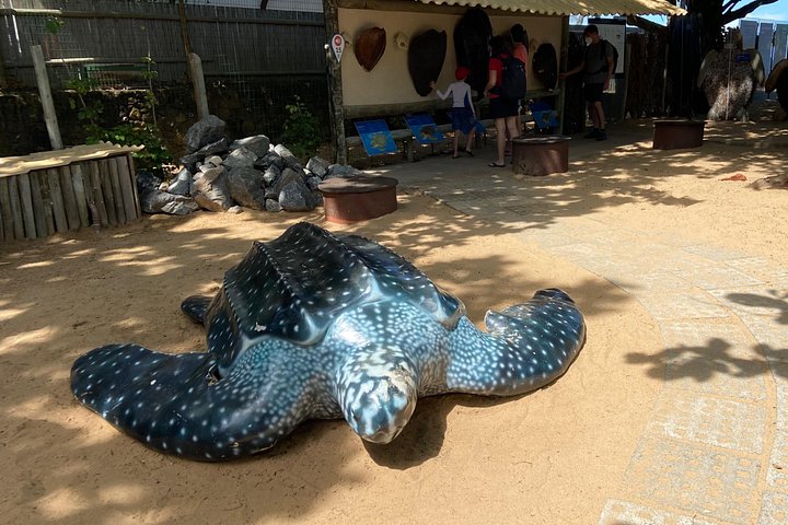 Private Tour to Praia do Forte and Praia de Guarajuba from Salvador
