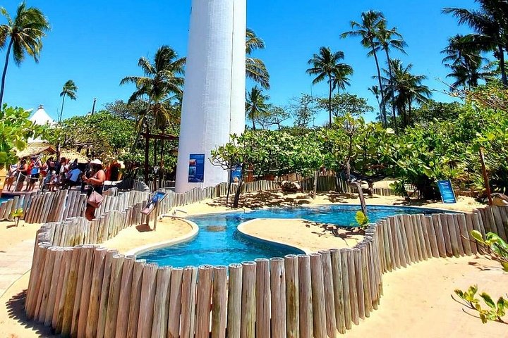 Private Tour to Praia do Forte and Praia de Guarajuba from Salvador