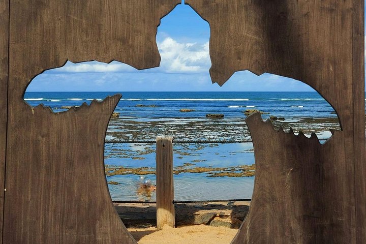 Private Tour to Praia do Forte and Praia de Guarajuba from Salvador