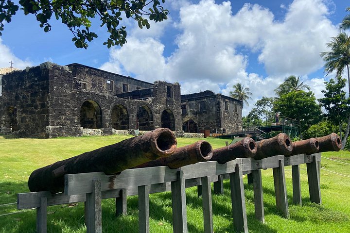 Private Tour to Praia do Forte and Praia de Guarajuba from Salvador