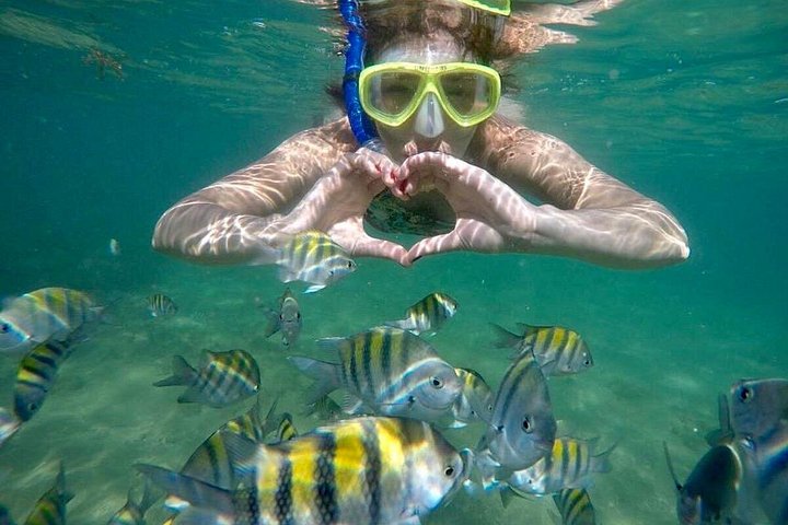 Private Tour to Praia do Forte and Praia de Guarajuba from Salvador