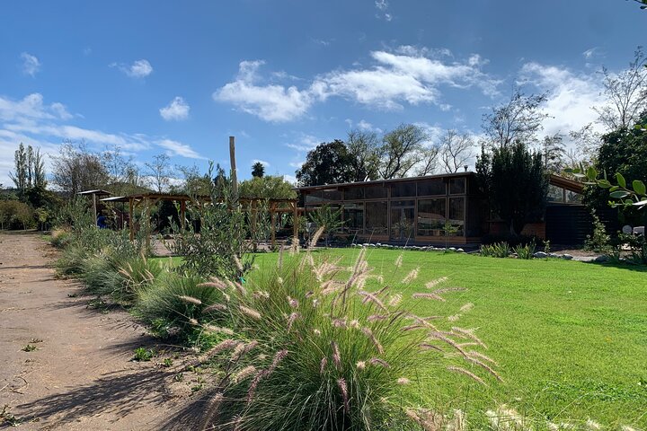Maipo Valley Wine Tour with 4 vineyards from Santiago.