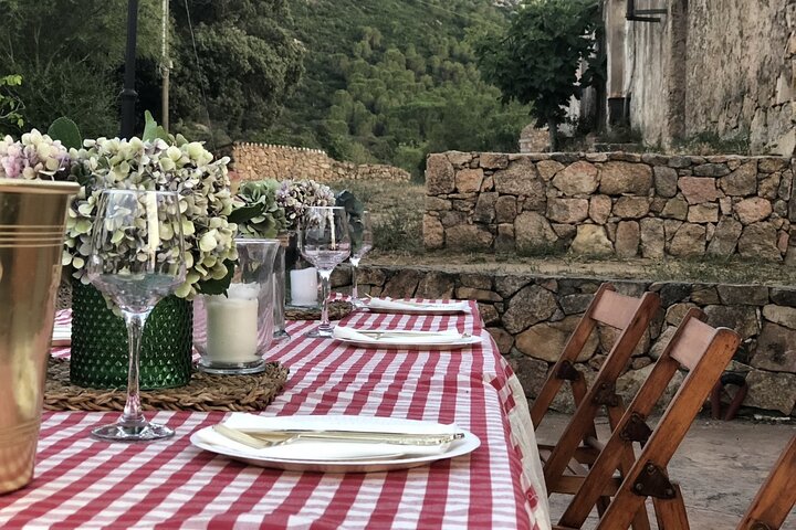 LONGEVITY TOUR: Pasta Class&BlueZone Secrets with Simonetta Bazzu