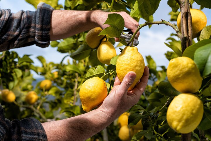Hands-On Cooking Class & Farmhouse Tour on the Amalfi Coast