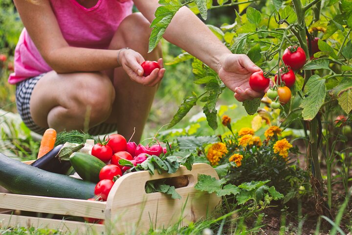 Hands-On Cooking Class & Farmhouse Tour on the Amalfi Coast