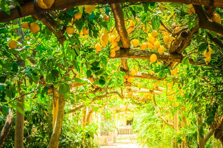 Hands-On Cooking Class & Farmhouse Tour on the Amalfi Coast