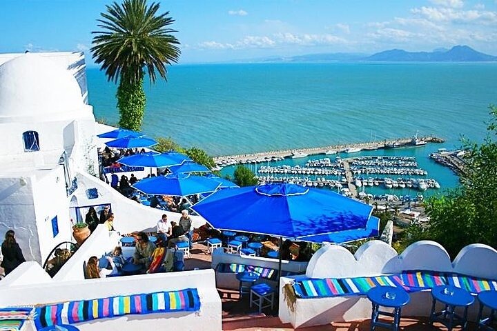 Private tour: Medina,Carthage ,Sidi Bou Said, Bardo Museum+lunch