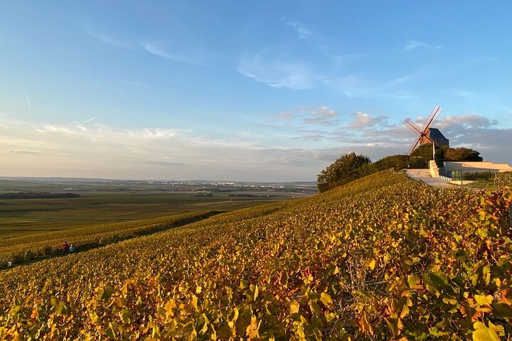 Exclusive Champagne Tour: 1 Famous+1 Boutique House & Restaurant