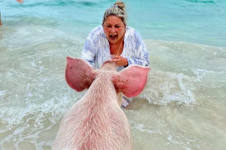 Nassau Swimming Pigs and Private Beach Club Escape