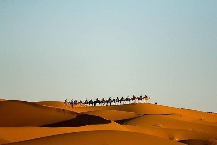 Night In Erg chebbi Desert Departing From Erfoud, Camel Trekking