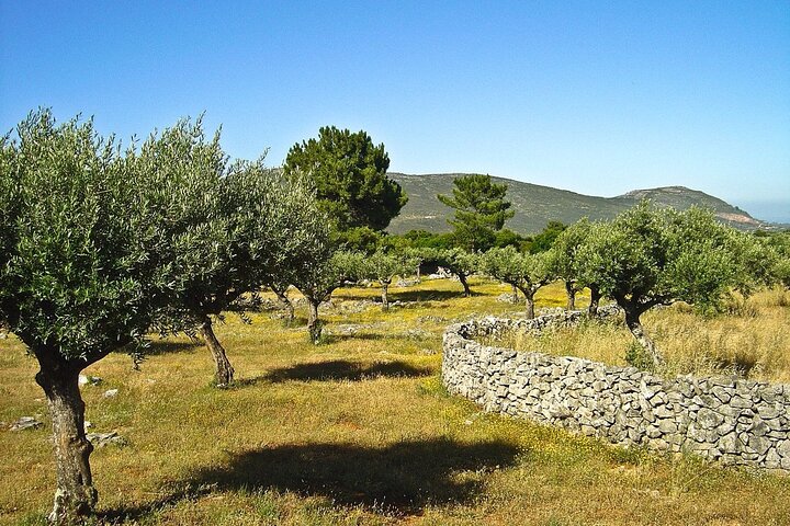 Aire e Candeeiros Nature Park Full Day Private Tour from the West