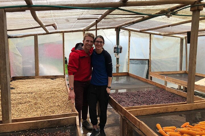 Coffee Farm and Salento Walking Tour
