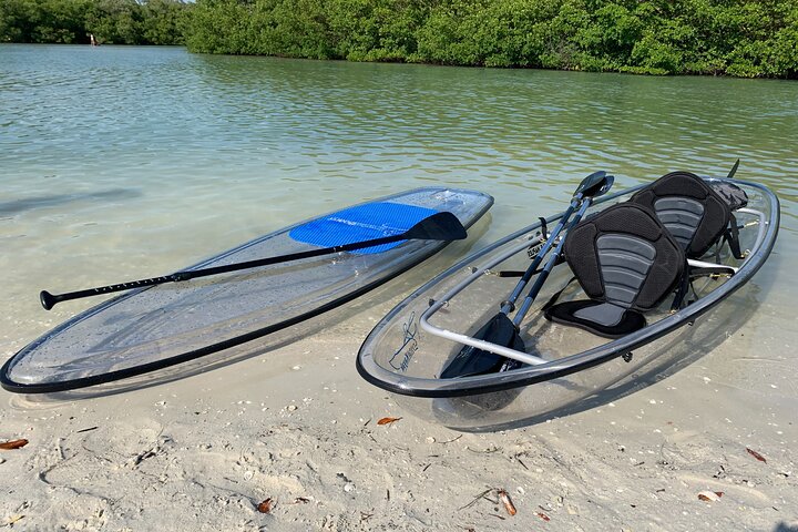 Guided Island EcoTour: CLEAR/Standard Kayak, SUP - Bonita Springs