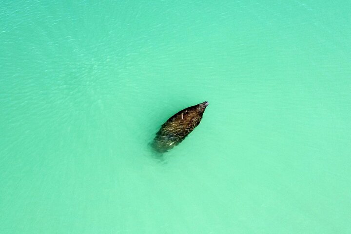 Dolphin and Manatee Adventure Tour of Fort Myers