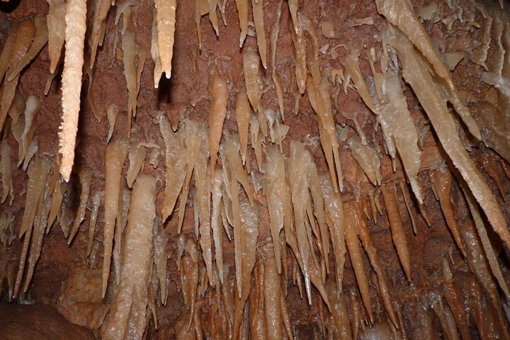 Aire e Candeeiros Nature Park Full Day Private Tour from the West