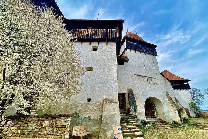 Sighisoara, Viscri & Rupea Small-Group Tour from Brasov