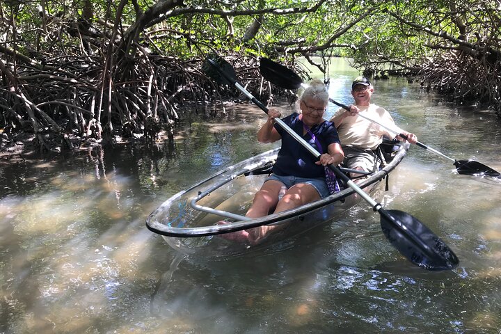 Guided Island EcoTour: CLEAR/Standard Kayak, SUP - Bonita Springs