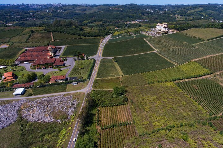 Wine Taste Tour With Maria Fumaça Train Ride