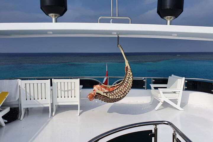 Sataya Dolphin House Snorkel Trip - Marsa Alam