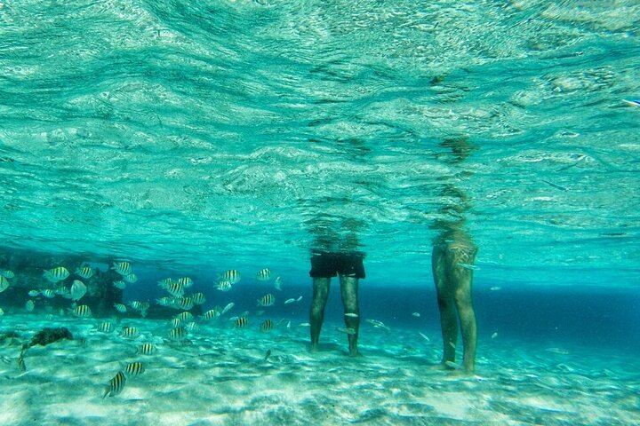 Full Day Marine Tour in San Andres