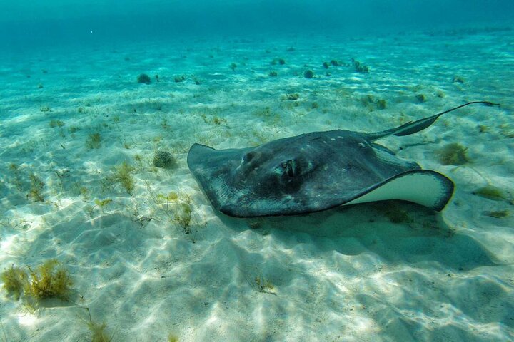 Full Day Marine Tour in San Andres