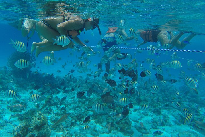 Full Day Marine Tour in San Andres