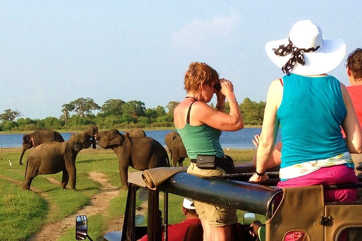 Ella: Transfer to Tangalle/Mirissa/Galle & Yala/Udawalawe Safari