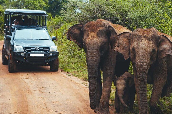 Ella: Transfer to Tangalle/Mirissa/Galle & Yala/Udawalawe Safari
