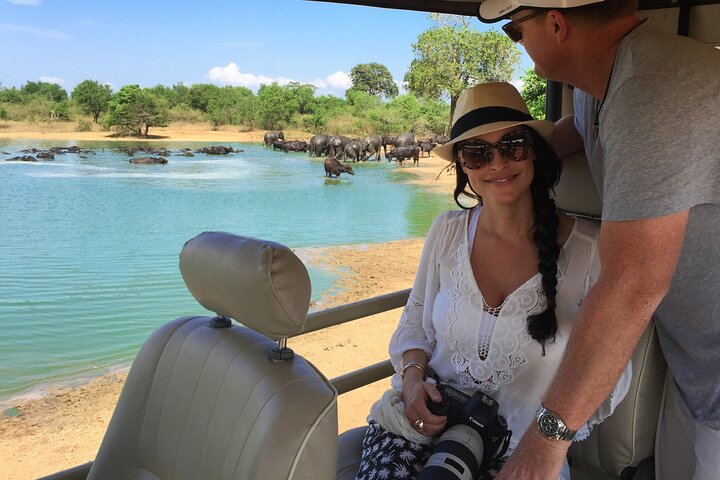 Ella: Transfer to Tangalle/Mirissa/Galle & Yala/Udawalawe Safari
