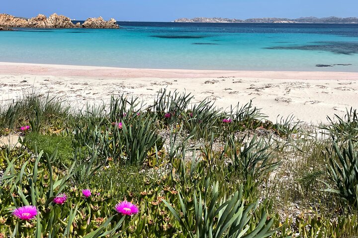 Sailing boat tour in the Maddalena Archipelago