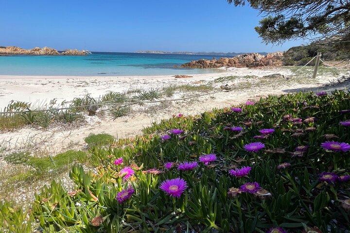 Sailing boat tour in the Maddalena Archipelago