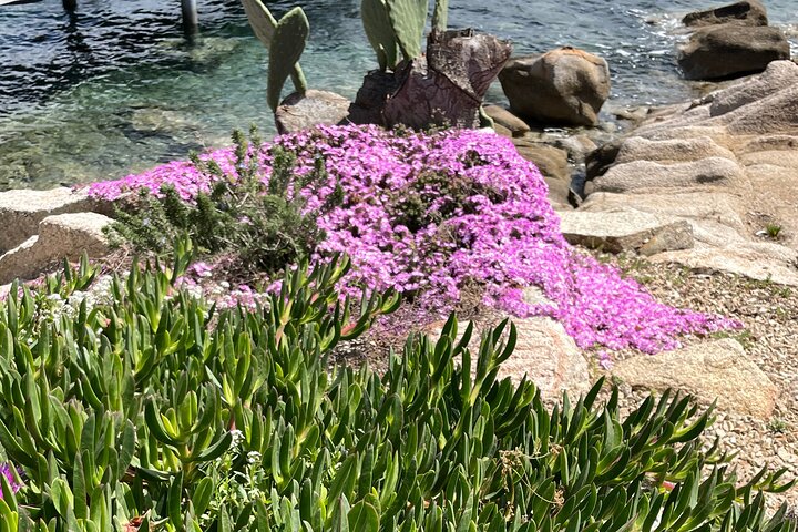 Sailing boat tour in the Maddalena Archipelago