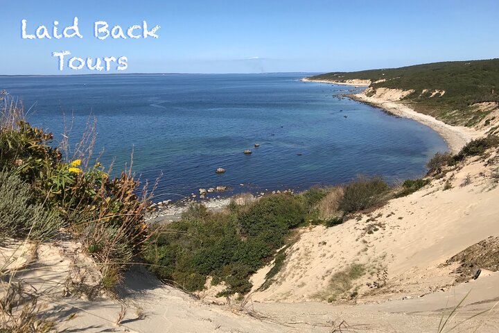 Private, Guided Sightseeing Tour of Marthas Vineyard Island(3hrs)