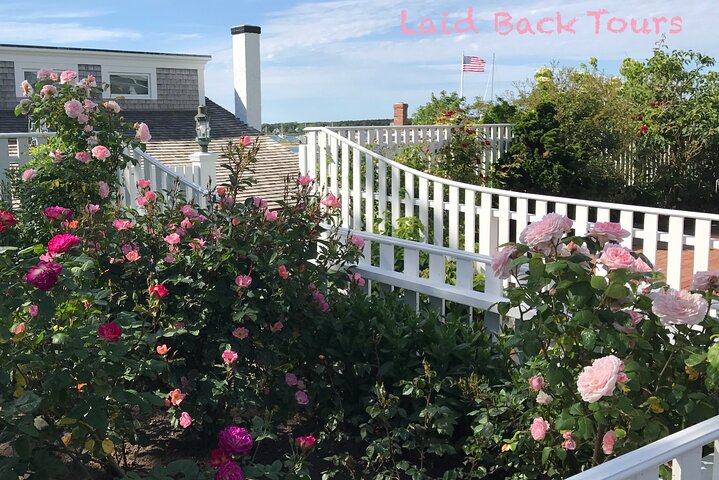 Private, Guided Sightseeing Tour of Marthas Vineyard Island(3hrs)