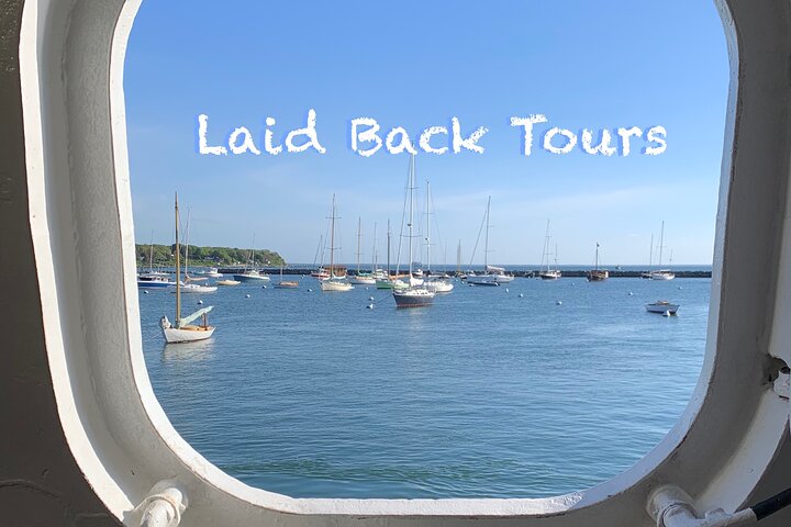 Private, Guided Sightseeing Tour of Marthas Vineyard Island(3hrs)
