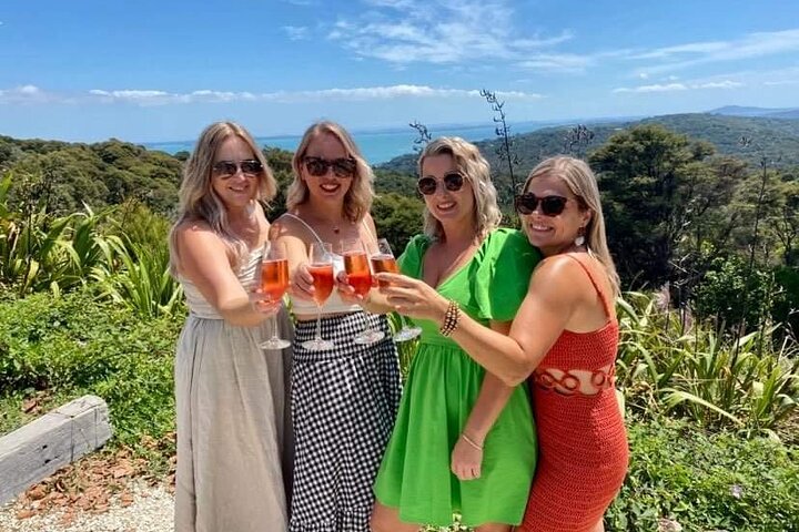 Auckland: Waiheke Island Scenic Tour 4 Vineyards, Local Guides