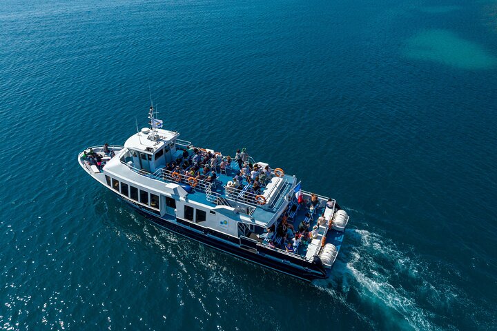 Mediterranean Coastal Sightseeing Cruise from Nice
