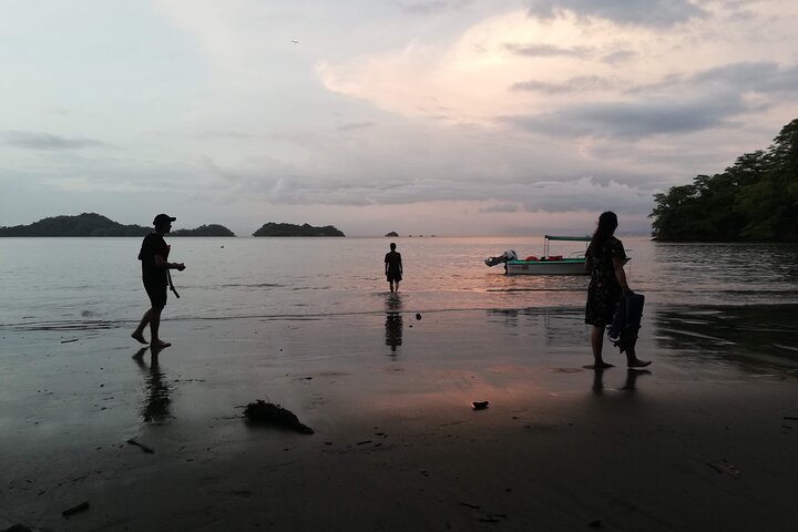 Sunset Bioluminescence Tour by Boat