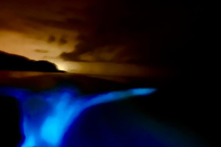Sunset Bioluminescence Tour by Boat