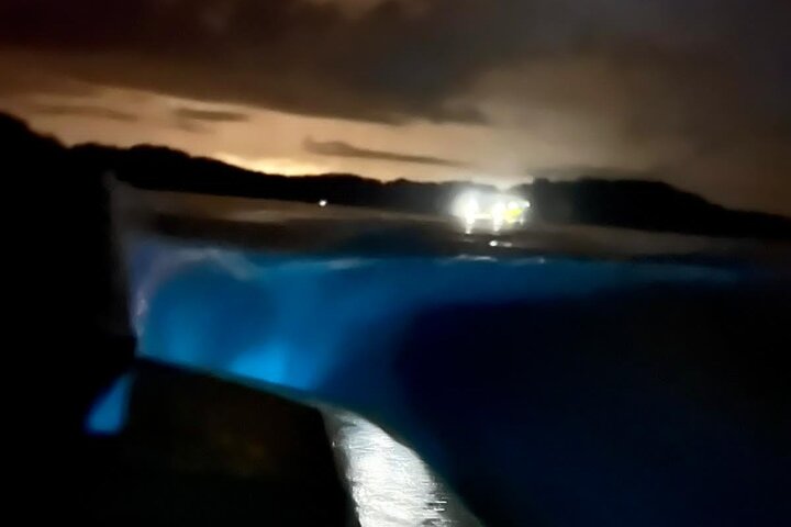 Sunset Bioluminescence Tour by Boat