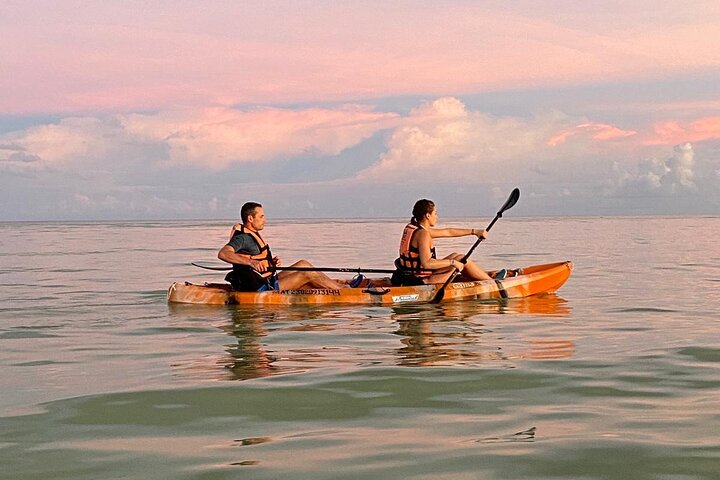 Kayak Experience in the Mangroves of Holbox Island