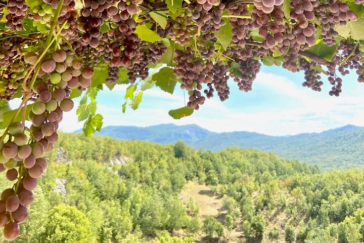 Mindful Yoga Retreat in Nature