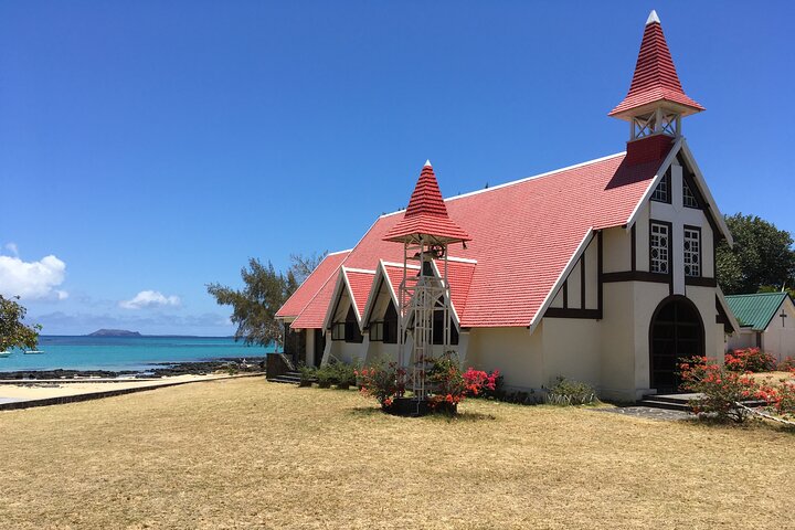 Turtle Snorkelling & Scenic North Island Full-Day Experience
