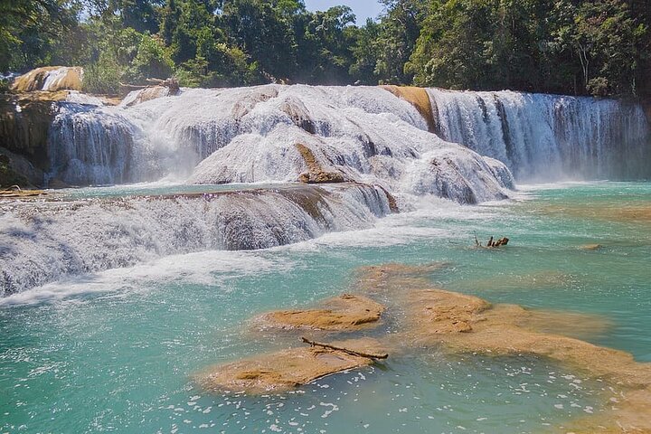 Tour to the Wonders of Chiapas in 7 Days