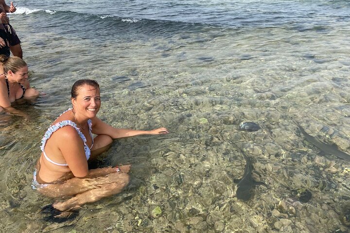 Sal Island Half-Day All-Inclusive Shark Bay, Blue Eye & Salt Lake