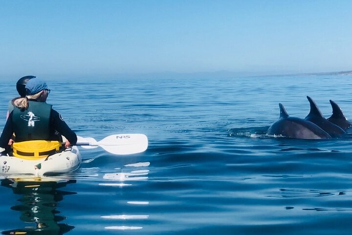 Kayak Rental for Two People in La Jolla